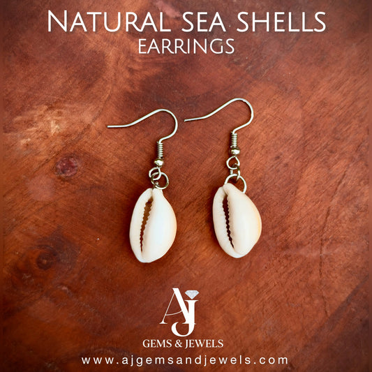 Natural Sea Shells Earrings